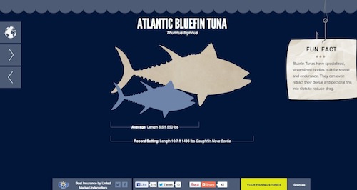 �܉򆢰l�����`�еľ�������ʽ��Ϣ�D���OӋ