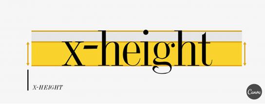 Ӣ�����w�ھWվ���O�е��\�ü���