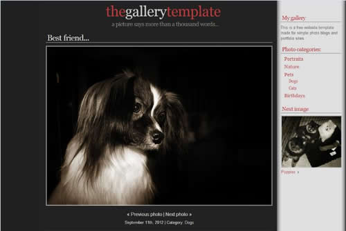 �������I(y��)�Wվ��ô����